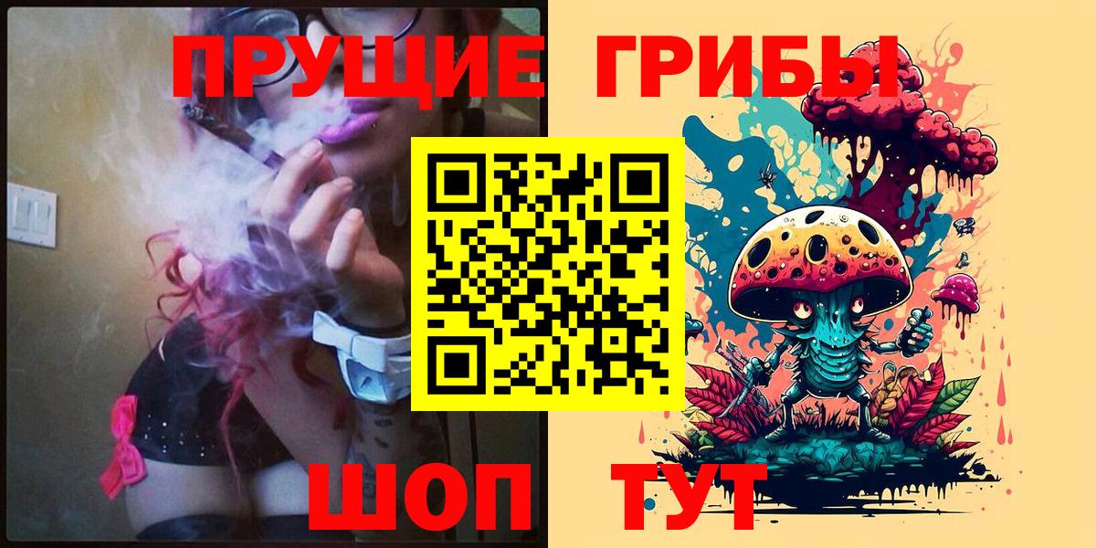 Псилоцибиновые грибы прущие грибы Отрадное