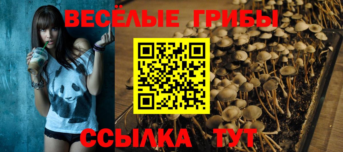 Отрадное  Галлюциногенные грибы прущие грибы  Вход с VPN 